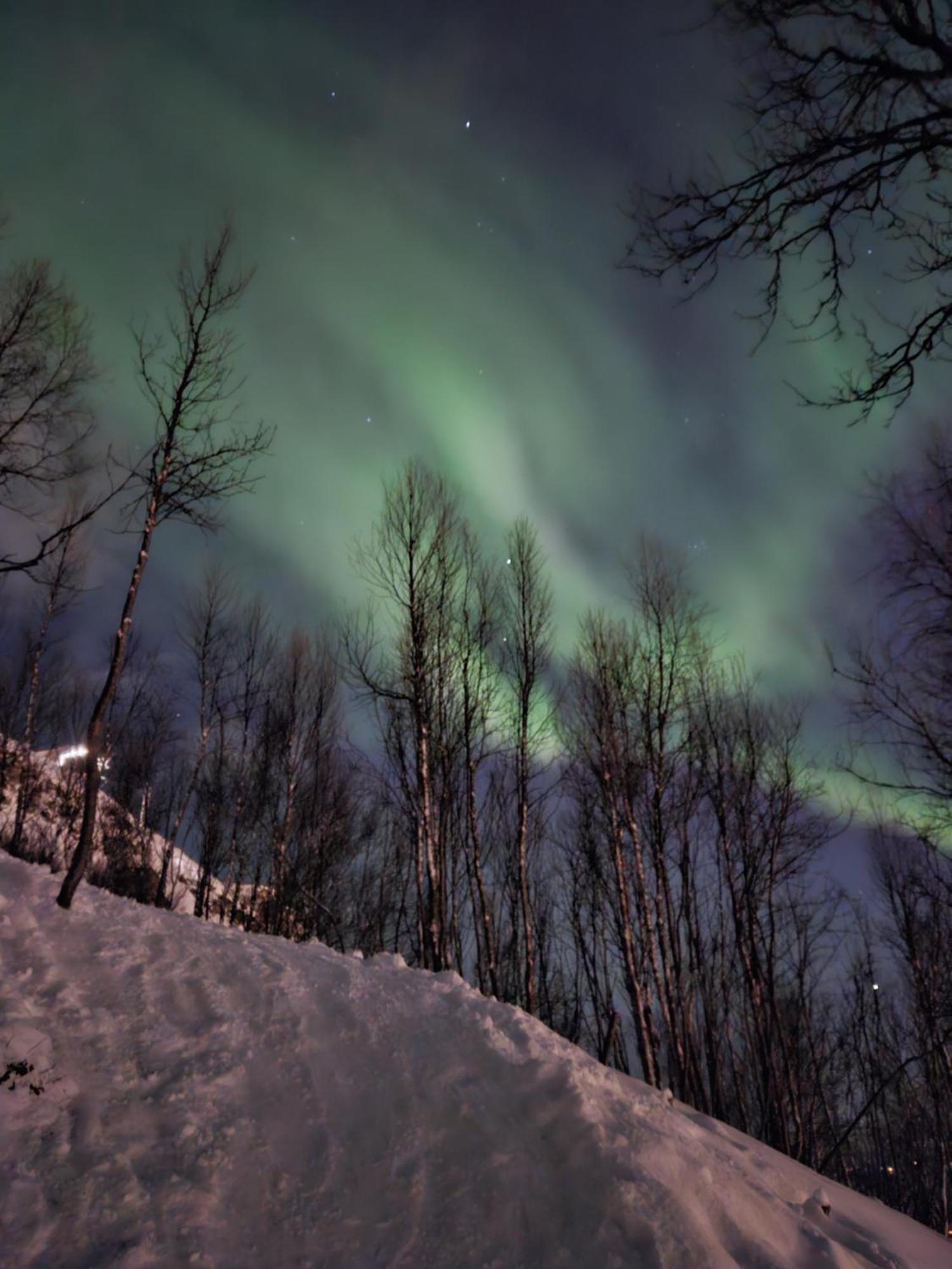 Apartment In Tromso, Located Between The Arctic Cathedral And The Cable Car