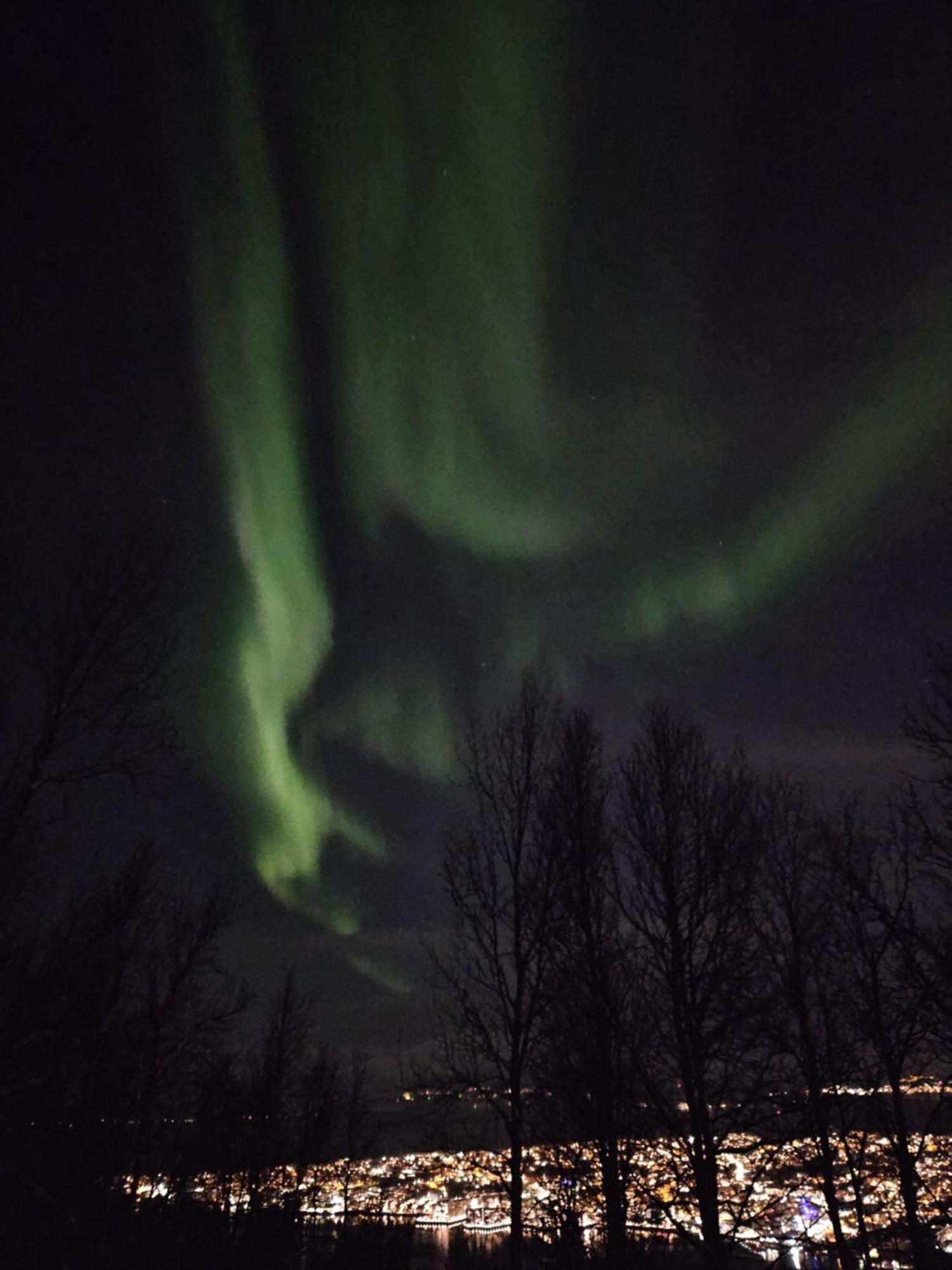 In Tromso, Located Between The Arctic Cathedral And The Cable Car * Tromso